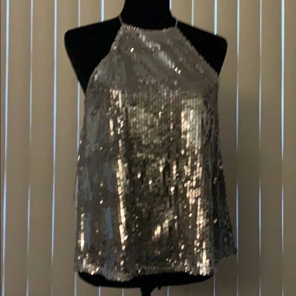 Brand New - never worn Zara cocktail top.